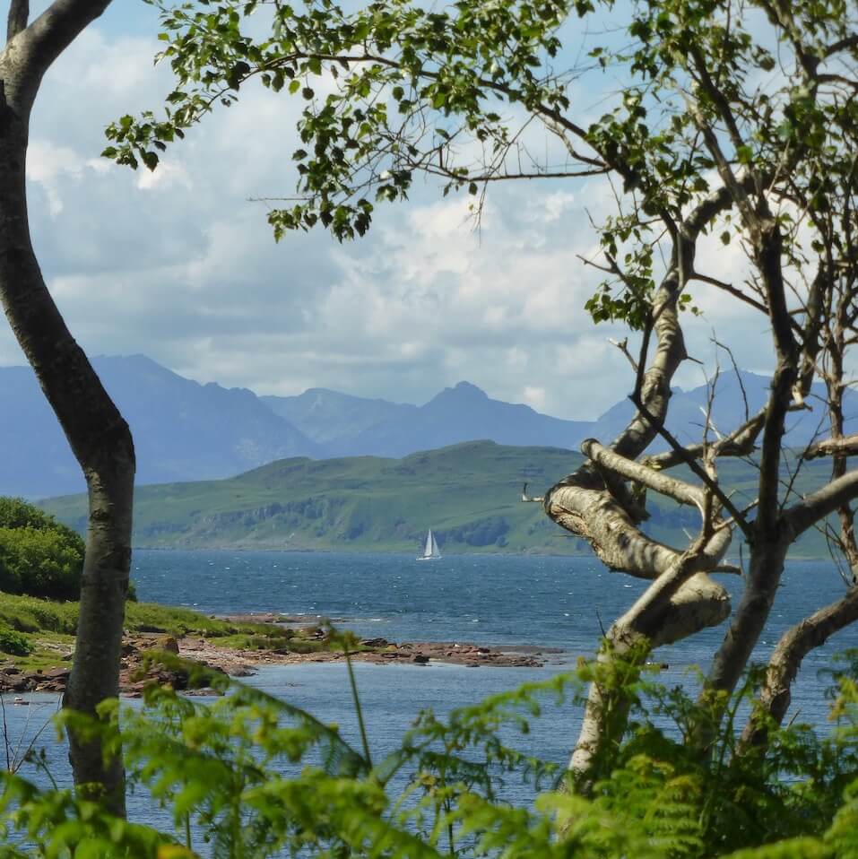 A sailboat on the Firth of Clyde framed by trees as seen from the Isle of Cumbrae